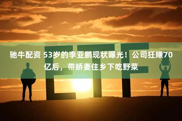 驰牛配资 53岁的李亚鹏现状曝光！公司狂赚70亿后，带娇妻住乡下吃野菜
