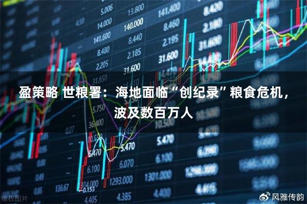 盈策略 世粮署：海地面临“创纪录”粮食危机，波及数百万人