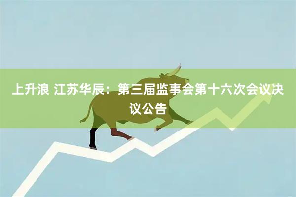 上升浪 江苏华辰：第三届监事会第十六次会议决议公告