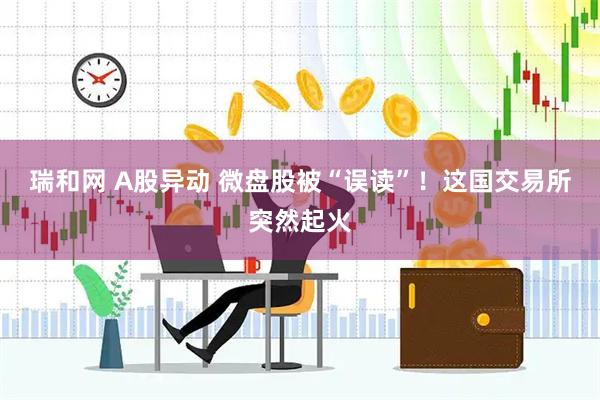 瑞和网 A股异动 微盘股被“误读”！这国交易所突然起火