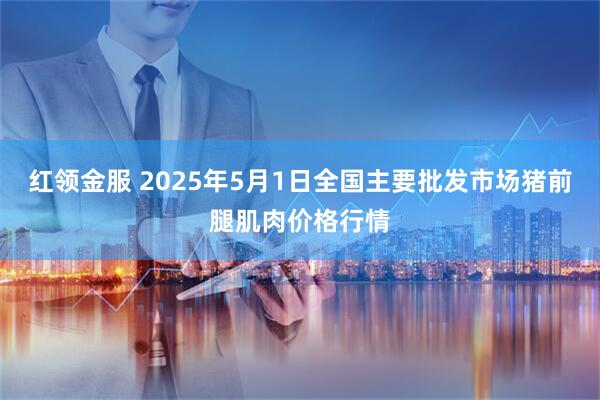 红领金服 2025年5月1日全国主要批发市场猪前腿肌肉价格行情
