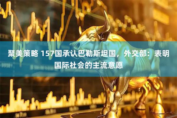 聚美策略 157国承认巴勒斯坦国，外交部：表明国际社会的主流意愿
