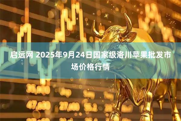 启远网 2025年9月24日国家级洛川苹果批发市场价格行情