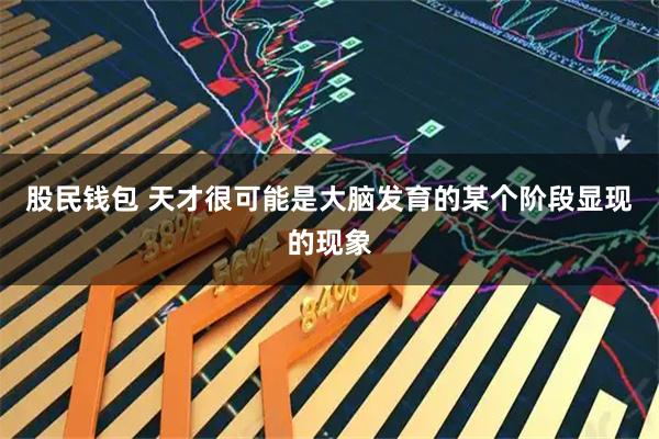 股民钱包 天才很可能是大脑发育的某个阶段显现的现象