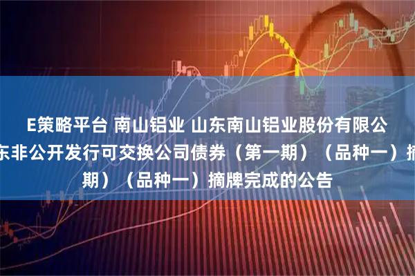 E策略平台 南山铝业 山东南山铝业股份有限公司关于控股股东非公开发行可交换公司债券（第一期）（品种一）摘牌完成的公告