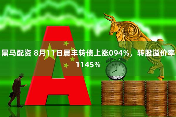 黑马配资 8月11日晨丰转债上涨094%,转股溢价率1145%